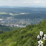 2007