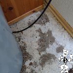 IMG_20220521_090040
