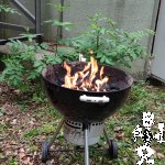 IMG_20220521_121525
