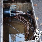 IMG_20231115_133411