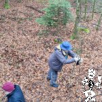 IMG_20240217_102208