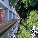 PXL_20250709_072743896