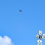 PXL_20250709_074505166