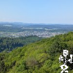PXL_20260501_085529613