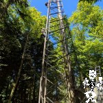 PXL_20260501_115346184