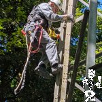PXL_20260501_115354026